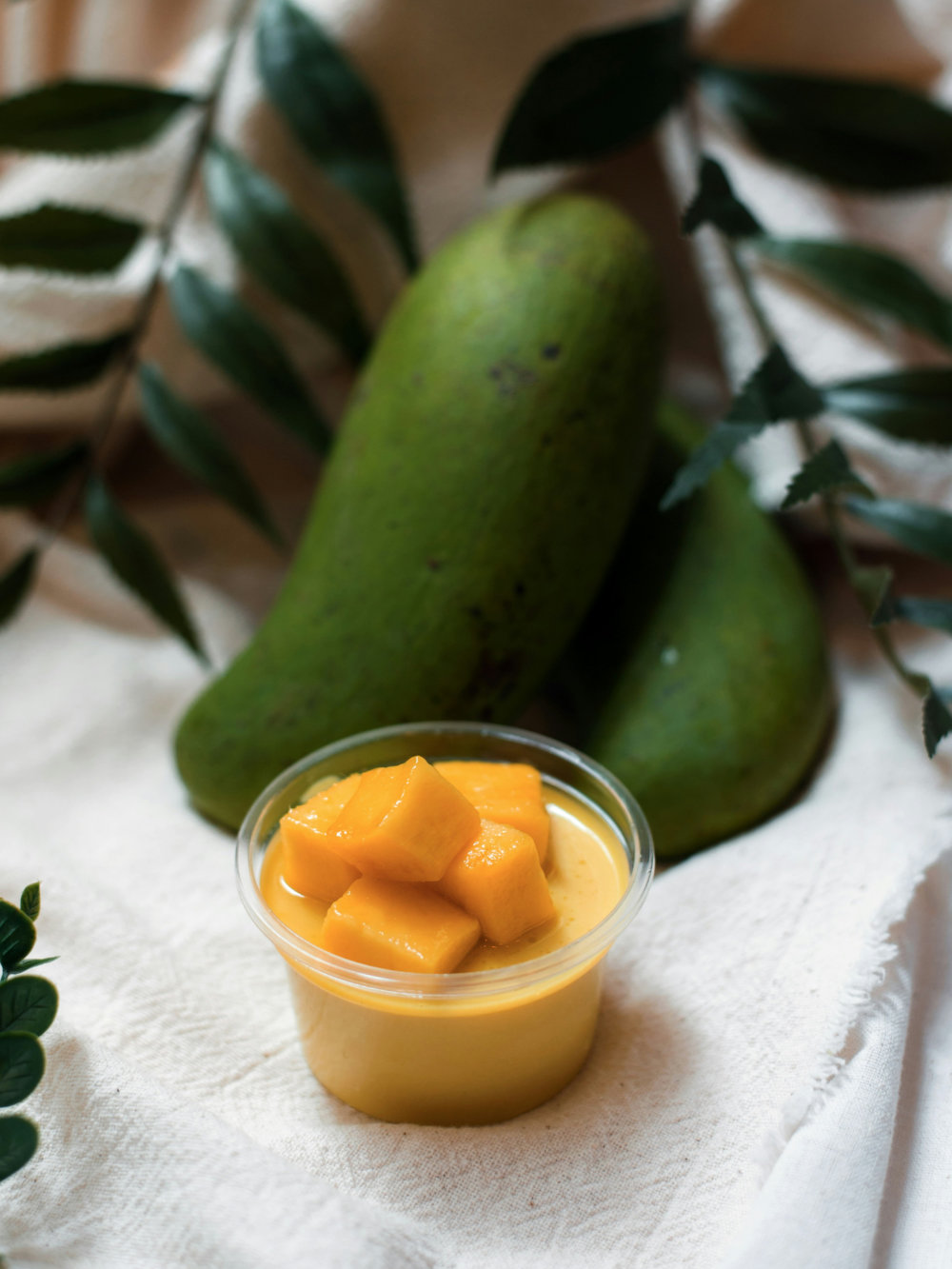 No Churn Mango Ice-Cream (No Added Sugar, Dairy Free) | Keisha Palmer