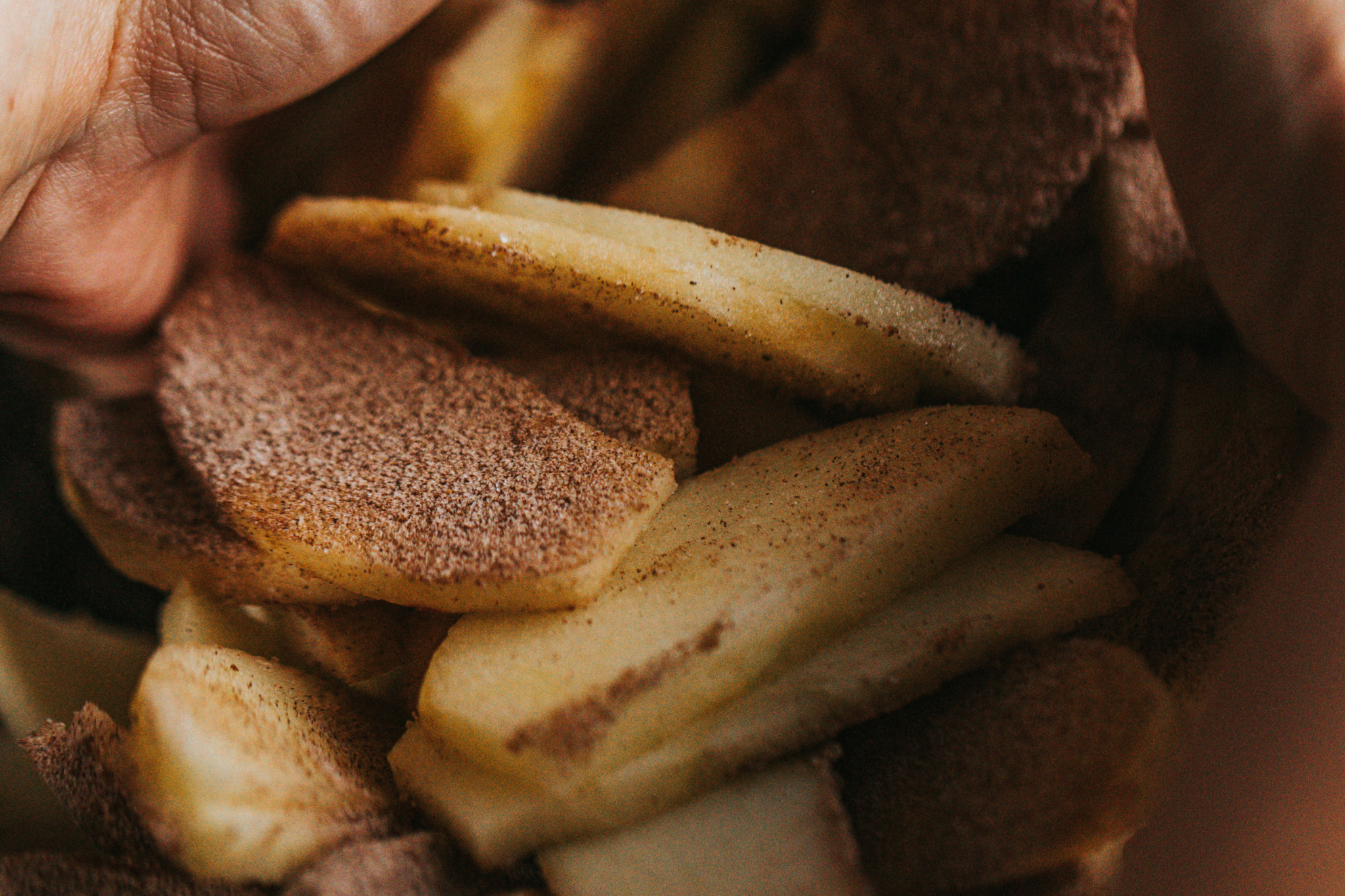Apple Nachos (A No Bake Recipe)