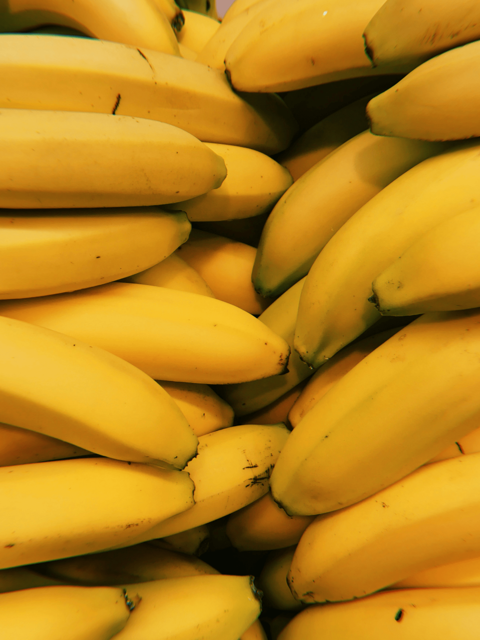 Toasted Oat Banana Slices - Keisha Palmer