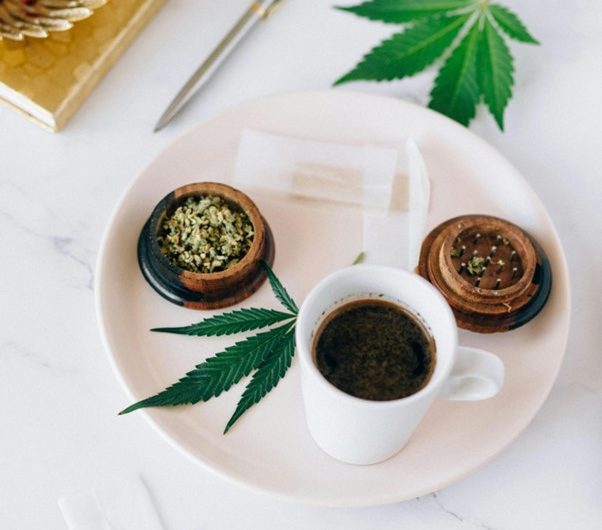 Moringa Tea – Nutrient Boost